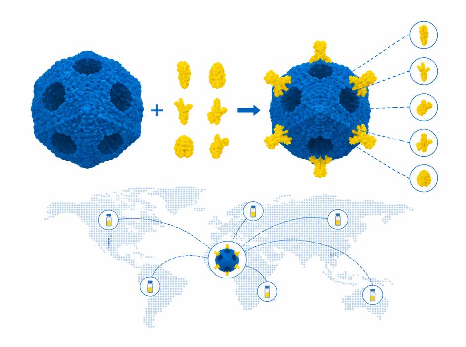 Modular nanocapsid platform enabling rapid global vaccine distribution